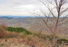 Middle Island Finds Large-Scale Polymetallic Targets at Serbia Site