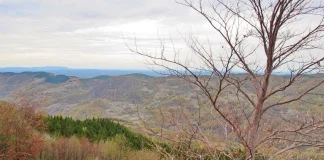 Middle Island Finds Large-Scale Polymetallic Targets at Serbia Site