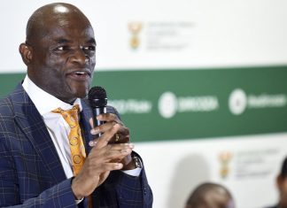 Northern Cape Can Be South Africa’s Next Mining Hub, Says Minerals Council Economist
