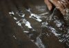 Rome Resources Reports Widest Intercept to Date at Kalayi Prospect